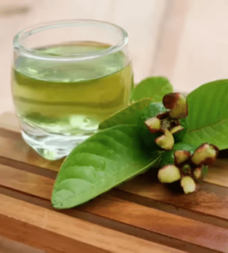 Guava Tea